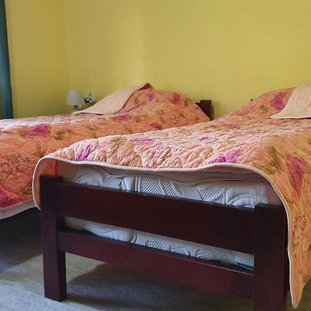 Apartment Roxana Centar โนวีซาด ภายนอก รูปภาพ