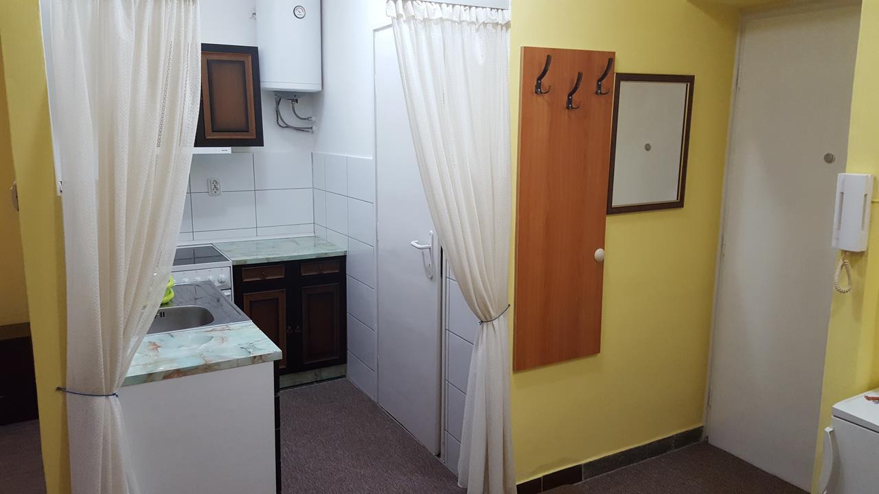 Apartment Roxana Centar โนวีซาด ภายนอก รูปภาพ
