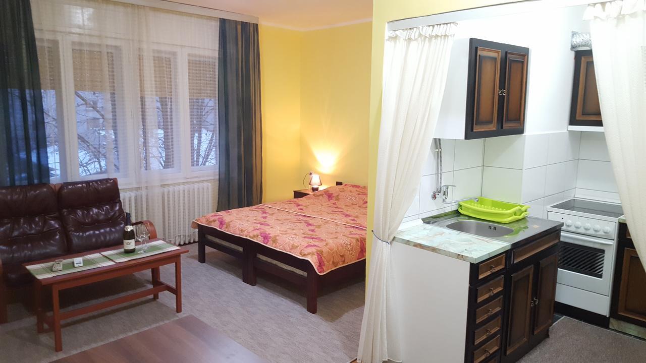 Apartment Roxana Centar โนวีซาด ภายนอก รูปภาพ